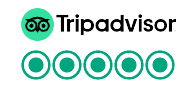 tripadvisor 1