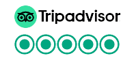 trip advisor 1