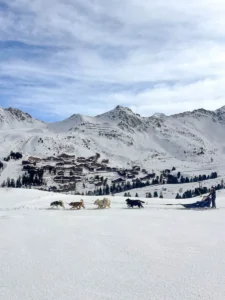 station de ski de luxe en france et chien traineaux