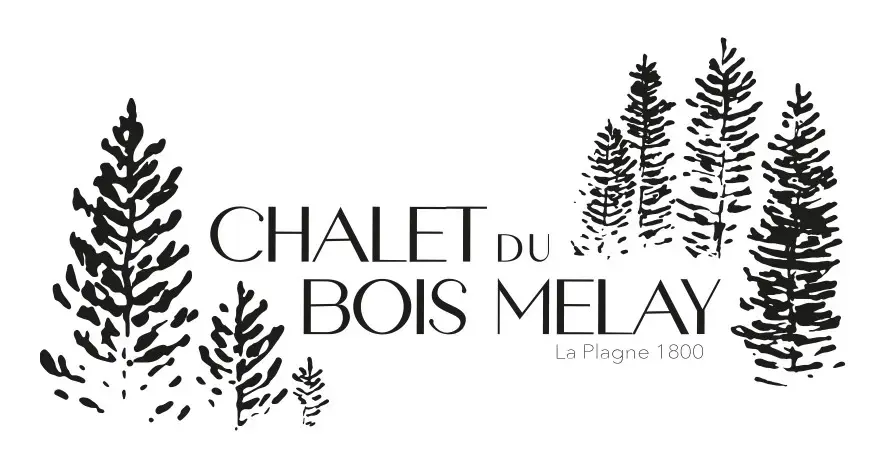 Logo Chalet du Bois Melay web