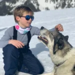 vacances hiver luxe chiens de traineaux