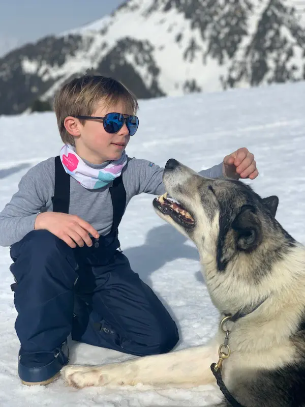 Vacances à la montagne en hiver 8 vacances hiver luxe chiens de traineaux à La Plagne
