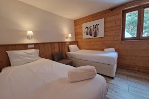 12 people rental la plagne