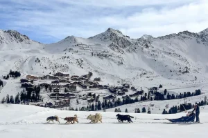station de ski de luxe en france et chien traineaux