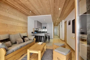 appartement la plagne