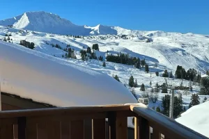 location appartement au pied des pistes belle plagne