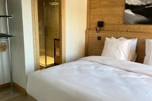 location appartement ski aux pieds belle plagne