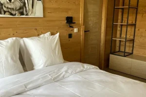 location appartement ski aux pieds la plagne