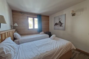 appartement ski aux pieds la plagne 1800