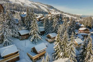 location chalet ski aux pieds