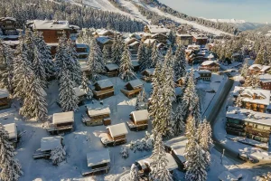 location chalets ski aux pieds