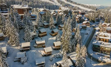location chalets ski aux pieds