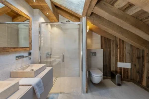 Master bedroom shower room with a stone washbasin, a shower and a toilet at Chalet du Plantin in Méribel Village