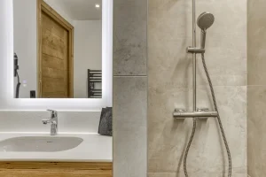 Shower room with a walk-in shower and a washbasin at Chalet Épicéa in Les Saisies