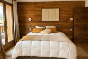 chalet étoile des neiges__Master 2