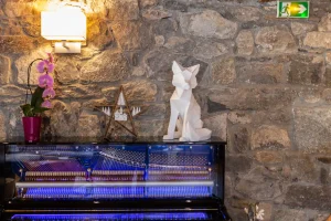 chalet ferme meribel_LivingRoom5