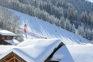 location chalet Savoie