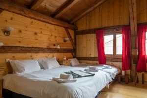 ski chalet les gets