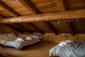 ski chalet for rent French alps