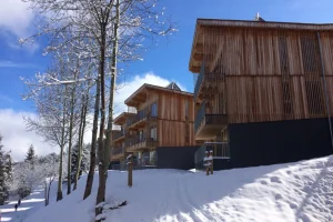 location chalet grande capacité