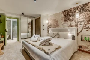 location chalet tignes les brevieres