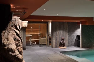 location chalet piscine meribel