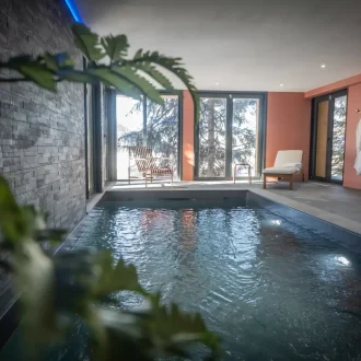 chalet piscine 1