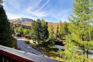 location chalet plagne centre