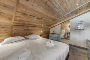 location chalet la plagne