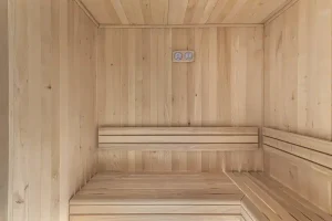 chalet avec sauna