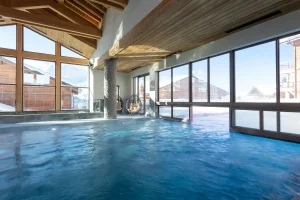 appartement avec piscine la plagne