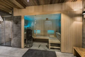 appartement alpin sauna