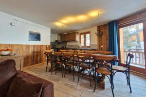 location appartement ski aux pieds la plagne