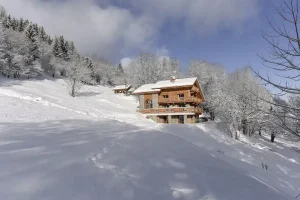 luxury chalet rental meribel