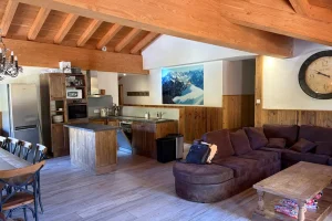 location appartement ski aux pieds la plagne