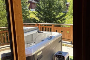 location appartement ski aux pieds la plagne