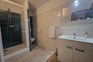 location appartement ski aux pieds la plagne