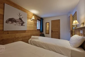 location appartement ski aux pieds la plagne