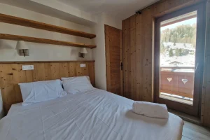 location appartement ski aux pieds la plagne
